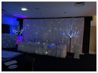 Wedding Curtains, LED decor Trees durham
